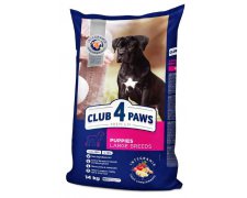 Club4Paws Premium Puppy Large Breed sucha karma z kurczakiem dla szczeniąt dużych ras 14kg