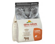 Almo Nature Holistic Cat z wołowiną i ryżem
