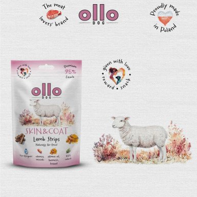 Ollo Air Dried Skin &Coat Lamb Strips wsparcie zdrowia skóry i sierści z jagnięciną dla psa 80g