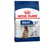 Royal Canin Maxi Adult 5 + karma sucha dla psów starszych, od 5 do 8 roku życia, ras dużych
