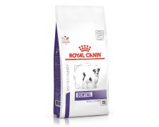 Royal Canin Dental Small Dog karma dla dorosłych psów ras małych (masa ciała do 10 kg) z problemami stomatologicznymi