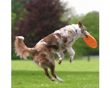 Trixie Dysk Dog Activity