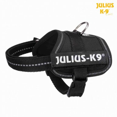 Trixie Julius-K9 Baby 1-Mini szelki dla psa 2/XS–S: 33–45 cm/18 mm