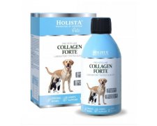 Holista Collagen Forte wsparcie prawidłowego rozwoju i regeneracji chrząstki stawowej