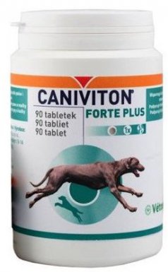 Caniviton Forte Plus na stawy