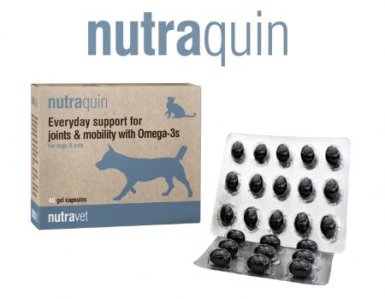 Nutravet Nutraquin for Dogs & Cats Codzienne wsparcie stawów i mobilności z Omega-3 27g