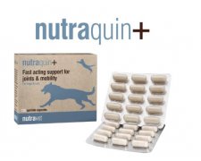 Nutravet Nutraquin + for Dogs&Cats Szybo działające wsparcie stawów i mobilności u kotów i psów