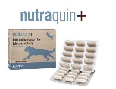 Nutravet Nutraquin+ for Dogs&Cats Szybo działające wsparcie stawów i mobilności u kotów i psów