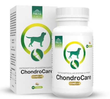 Pokusa ChondroCare tabletki na stawy 120 sztuk