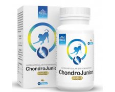 Pokusa ChondroJunior tabletki na stawy 120 sztuk