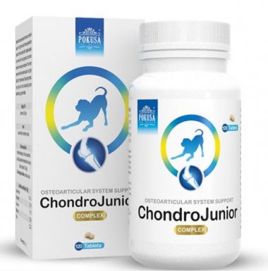 Pokusa ChondroJunior tabletki na stawy 120 sztuk