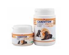 Vetoquinol Caniviton Protect na stawy
