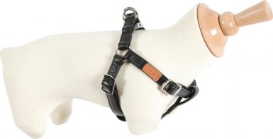 Zolux Imao Piccadilly Szelki dla psa 55-80cm/20mm