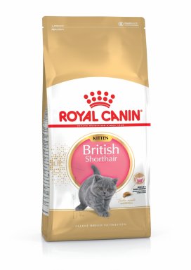 Royal Canin British Shorthair Kitten karma sucha dla kociąt, do 12 miesiąca, rasy brytyjski krótkowłosy