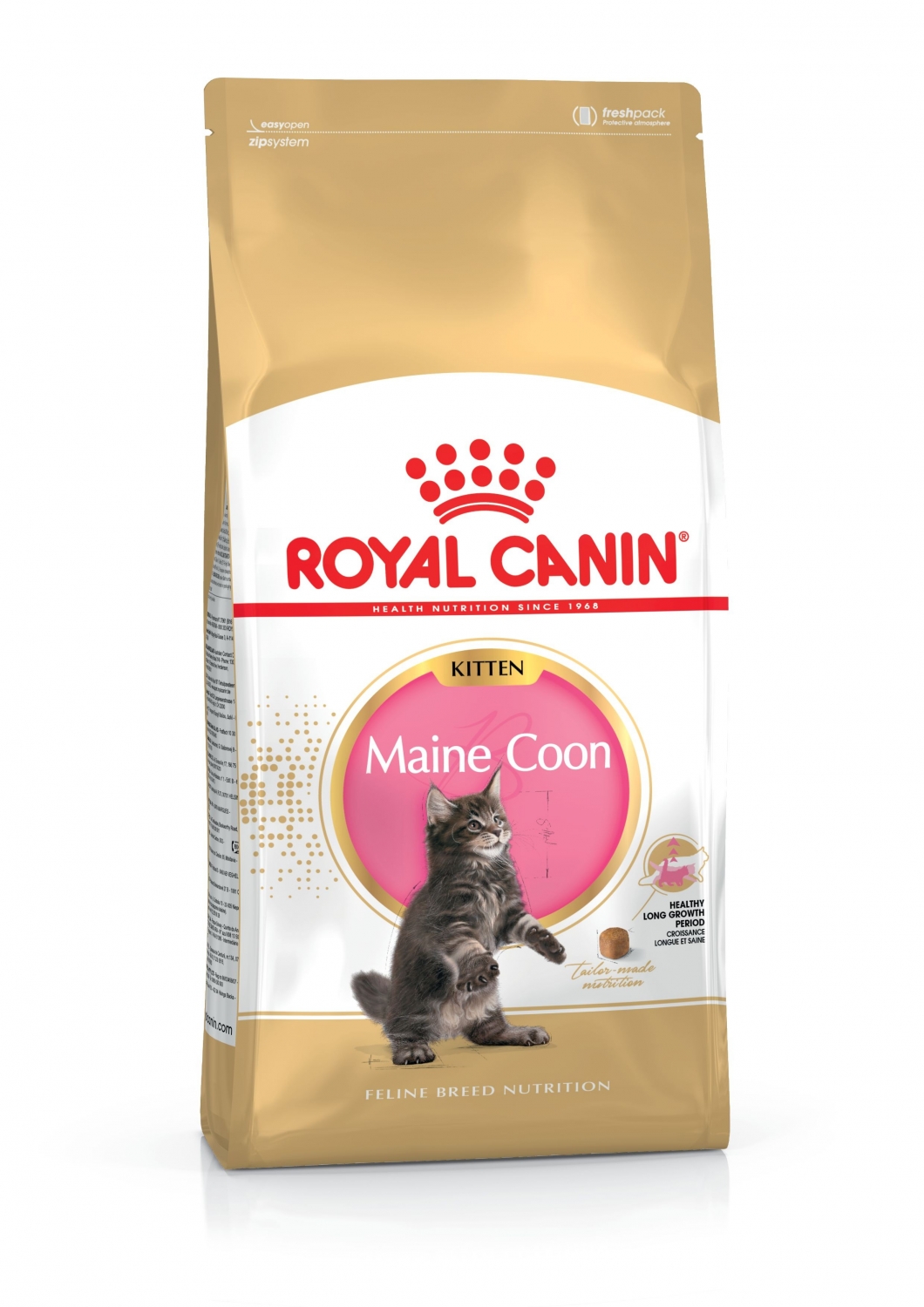 Royal Canin Maine Coon Kitten karma sucha dla kociąt do 15 miesiąca, rasy Maine Coon
