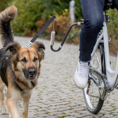 Trixie Zestaw rowerowy ze smyczą dla psów średnich i dużych grafitowy M–XL
