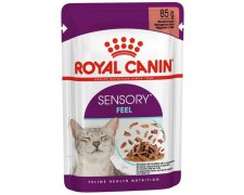 Royal Canin Sensory Feel karma mokra dla kotów dorosłych w sosie 12x85g