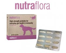 Nutravet Nutraflora for Dogs & Cats Probiotyk o wysokiej sile wspomagający codzienne zdrowie jelit i odporności dla psów i kotów 70g