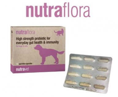 Nutravet Nutraflora for Dogs & Cats Probiotyk o wysokiej sile wspomagający codzienne zdrowie jelit i odporności dla psów i kotów 70g