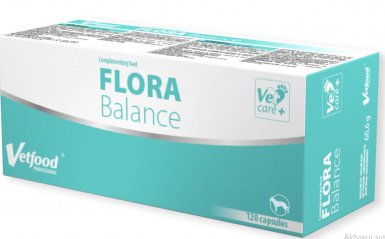 Vetfood Flora Balance synbiotyk połączenie probiotyku z prebiotykiem 