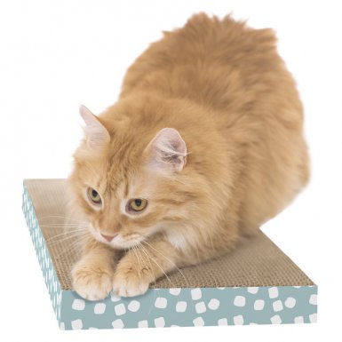 SportPet Designs drapak szeroki