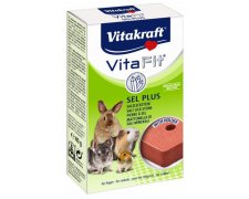 Vitakraft Sól do lizania dla gryzoni