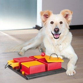 Trixie Dog Activity Poker Box zabawka edukacyjna poziom 2