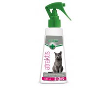 Dr Seidel Atraktis - kocimiętka w sprayu