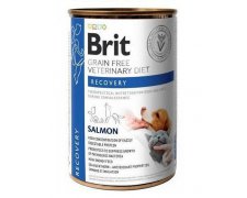 Brit Veterinary Diets Dog Cat Recovery żywienie w czasie rekonwalescencji psów i kotów łosoś bez zbóż 400g
