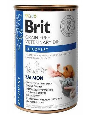 Brit Veterinary Diets Dog Cat Recovery żywienie w czasie rekonwalescencji psów i kotów łosoś bez zbóż 400g