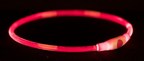 Trixie Obręcz z podświetleniem USB S–M:40cm/8mm, czerwona