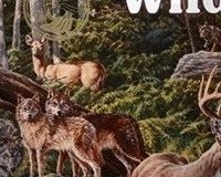 Taste of the Wild Pine Forest z dziczyzną i warzywami strączkowymi