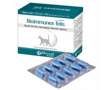 Biowet Bioimmunex Felis preparat na zwiększenie odporności 40 kapsułek