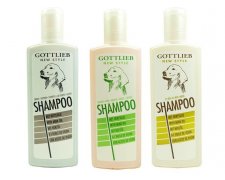Gottlieb Szampon intensyfikujący kolor 300ml