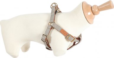 Zolux Imao Mayfair szelki dla psa 25 mm 70-100 cm