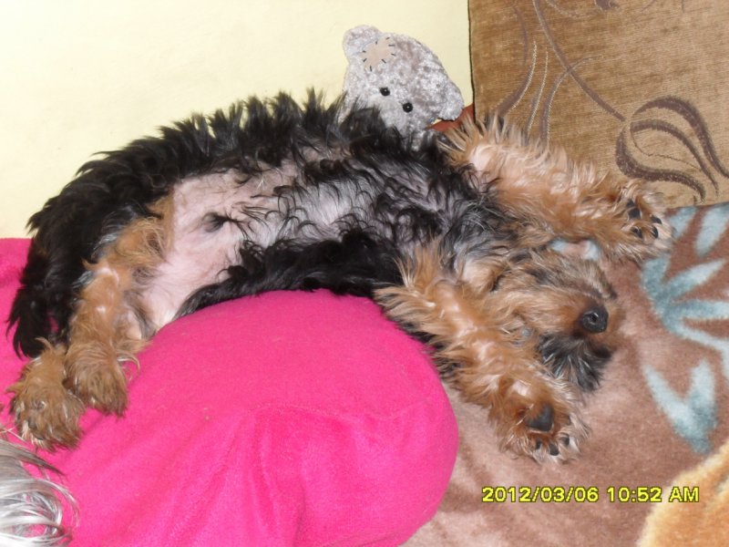 Moja podusia-chyba uroslem?