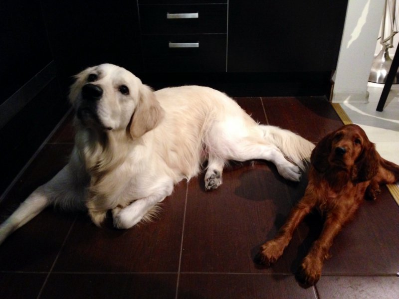Max i Una