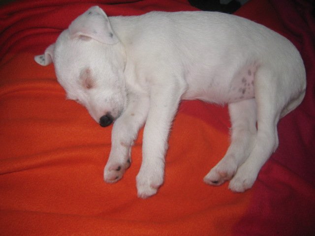 Śpiąca królewna :-)