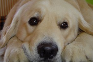 Tak sobie odpoczywam ???