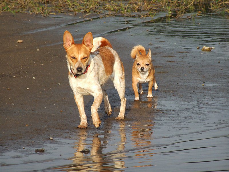 spacer brzegiem zalewu