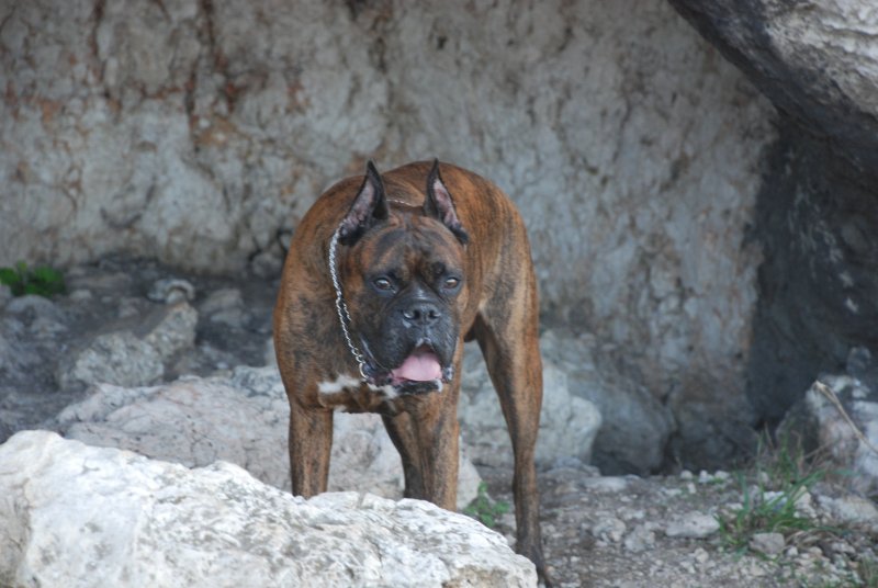 Max