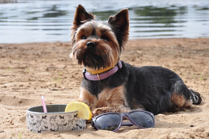 Relaksujący się Bajer