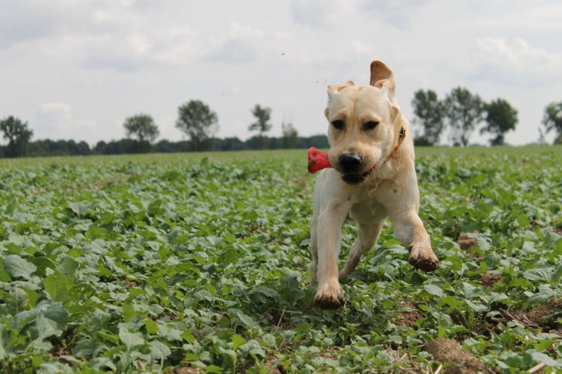 Wiejskie wakacje Moreno