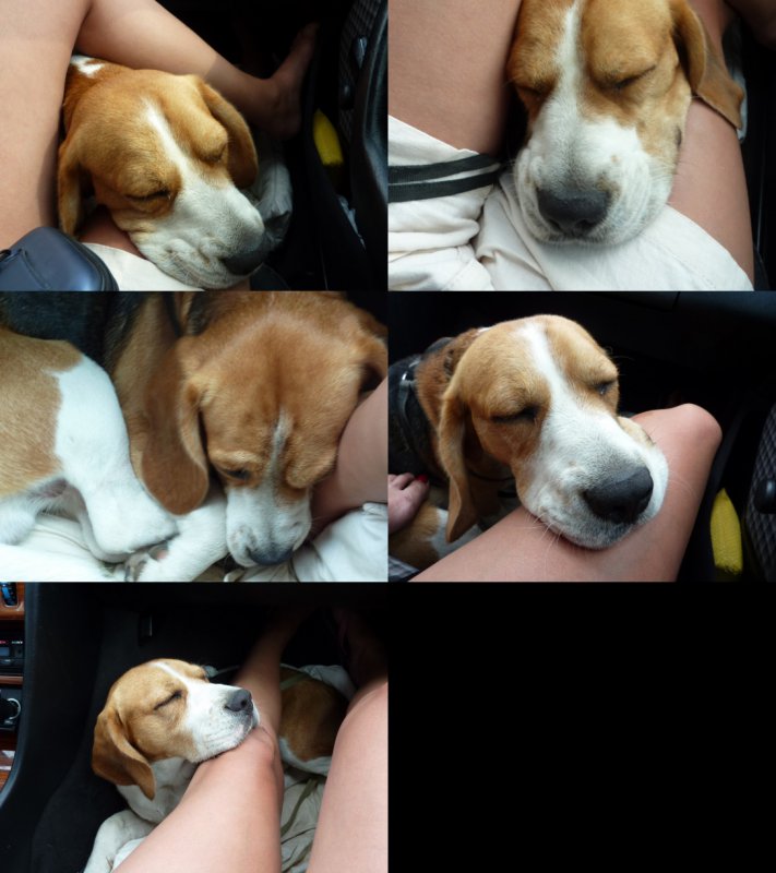 wygoda i bezpieczeństwo