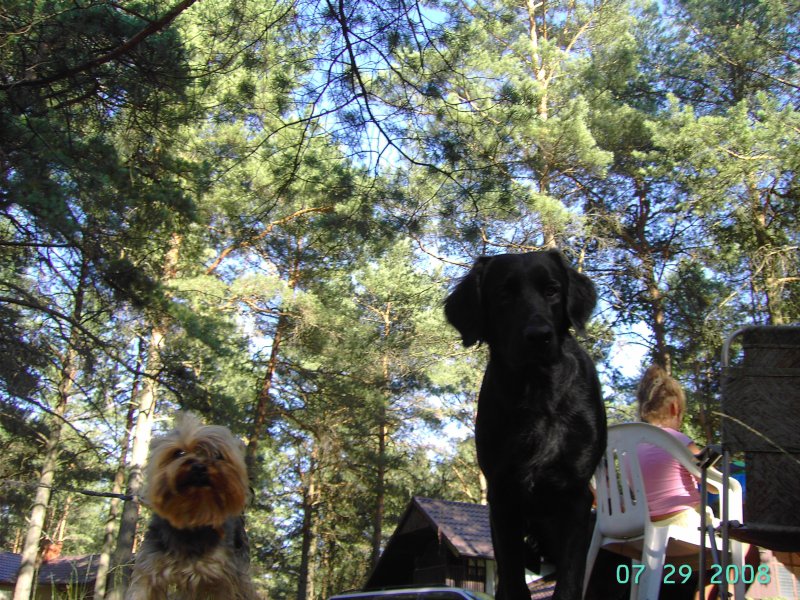 będziemy przyjaciółmi...