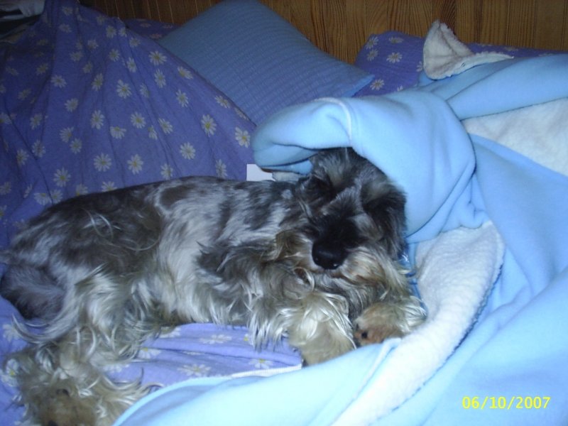 Nareszcie cieplutko...