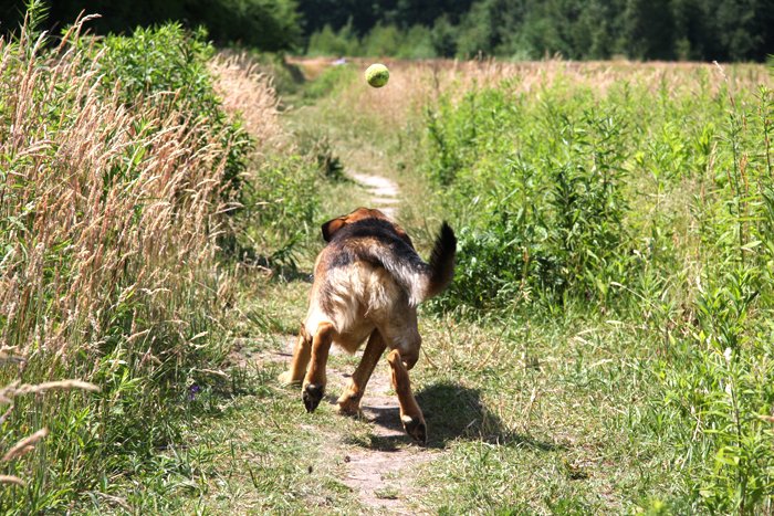 w pogoni za szczęściem