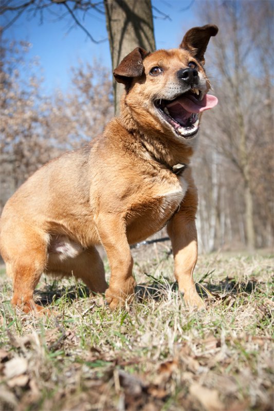 wakacje pełną gębą