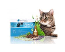 Dermoscent Essential 6 spot-on naturalny preparat nawilżający dla kotów 