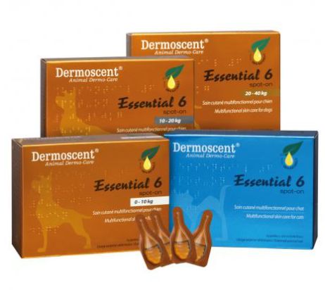 Dermoscent Essential 6 spot-on naturalny preparat nawilżający dla psów o wadze od 20 do 40kg